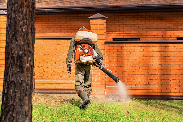 Trusted Ant Control service in Caddo Mills, TX - Nex Pest Control
